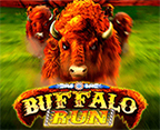 Buffalo Run